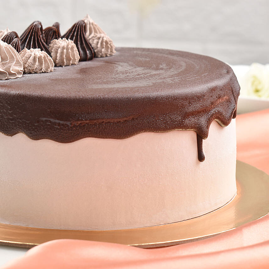 Chocolate Classic Ice Cream Cake 12 Portions