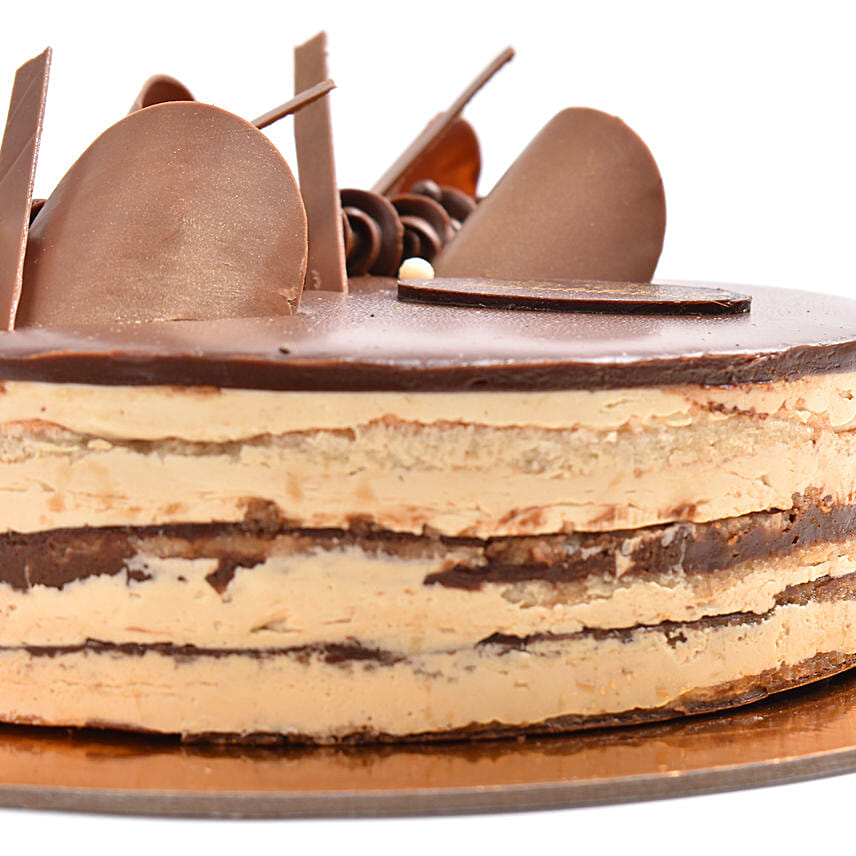 Congratulations Choco Coffee Cake