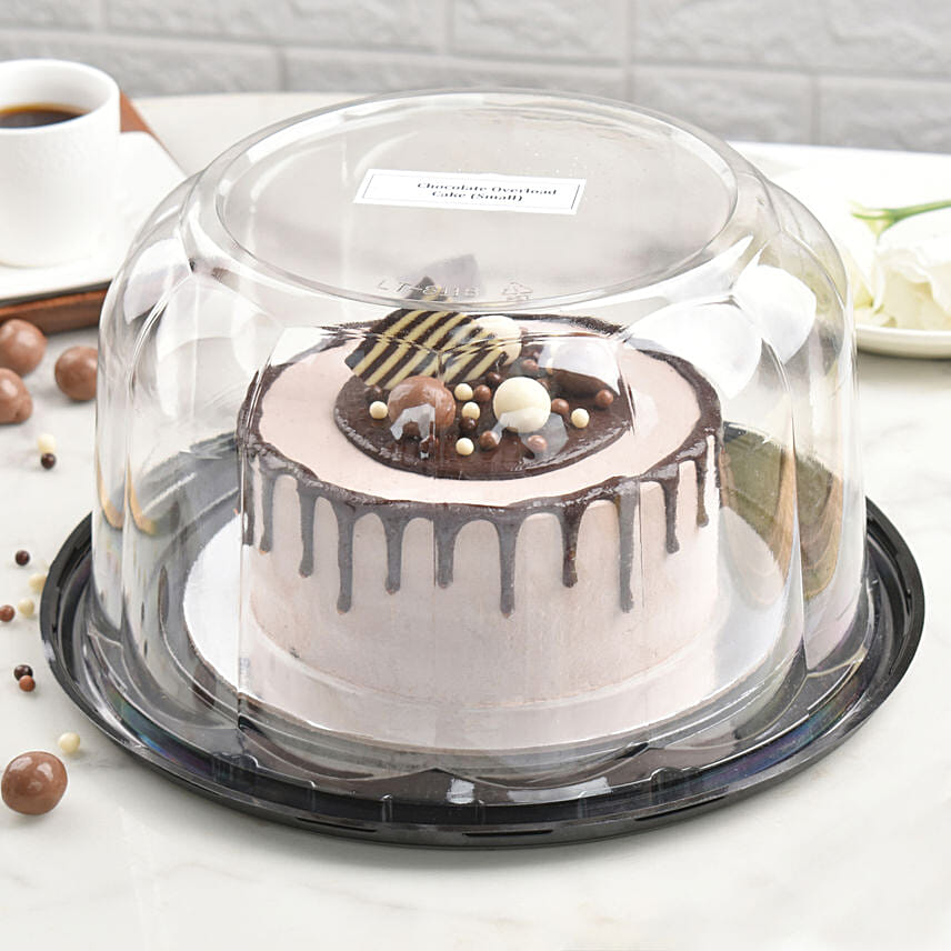 Double Chocolate Ice Cream Cake 6 Portion