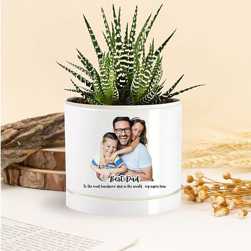 Dad Heroic Love Echeveria Plant In A Vase