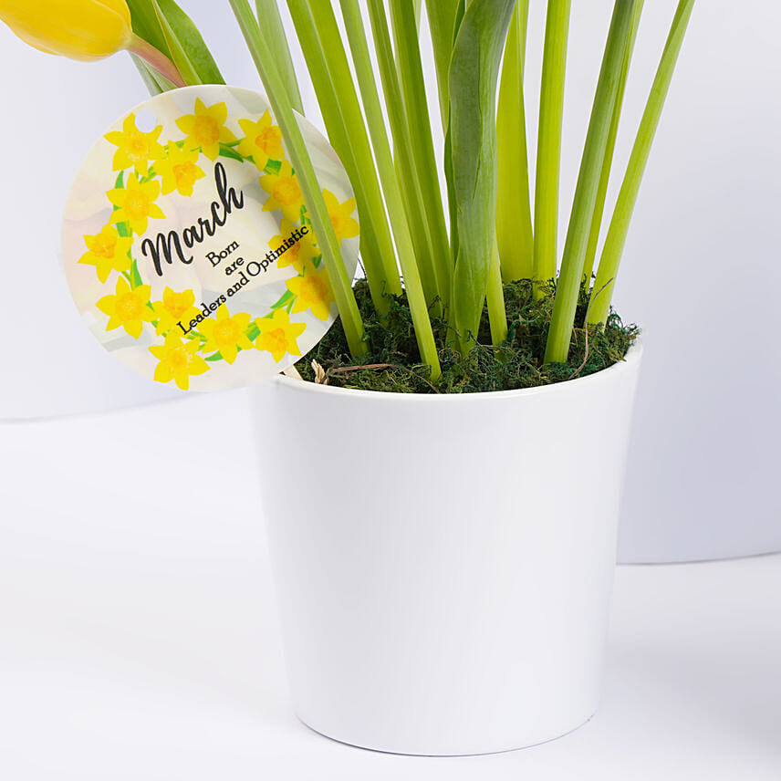 Daffodils Chocolate Cake With Flowers