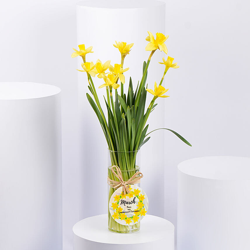 Daffodils Vase Arrangement for Birthday