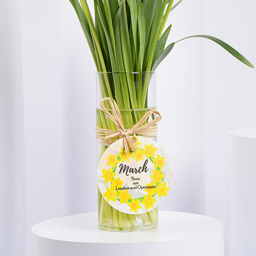 Daffodils Vase Arrangement for Birthday