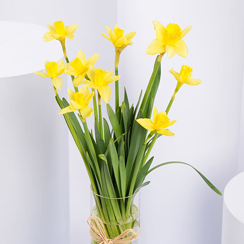 Daffodils Vase Arrangement for Birthday