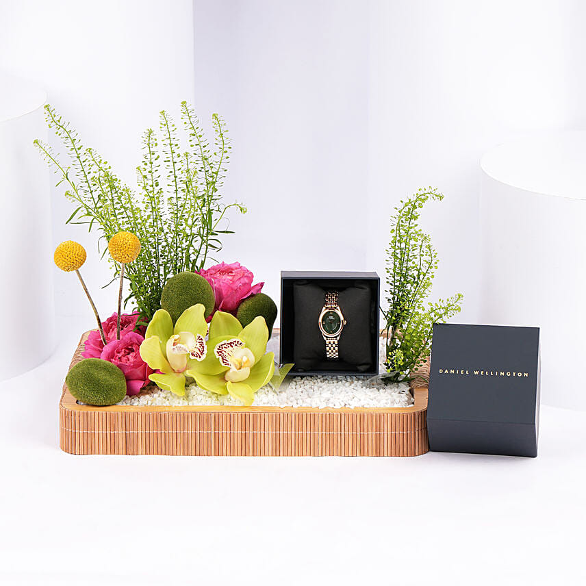 Daniel Wellington Emeral Gold Watch Gift Tray for Her
