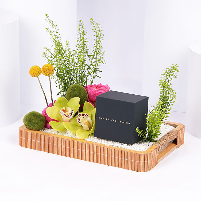 Daniel Wellington Emeral Gold Watch Gift Tray for Her
