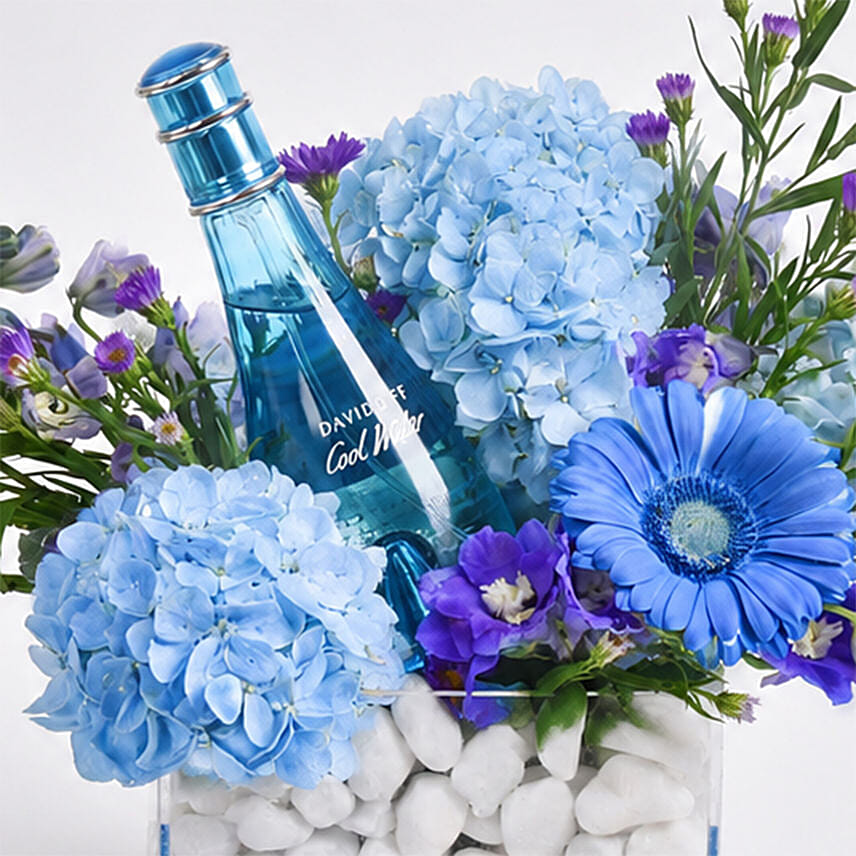 Davidoff Cool Water Gift for Her