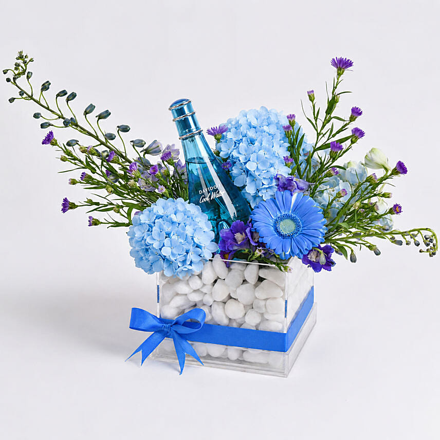 Davidoff Cool Water Gift for Her