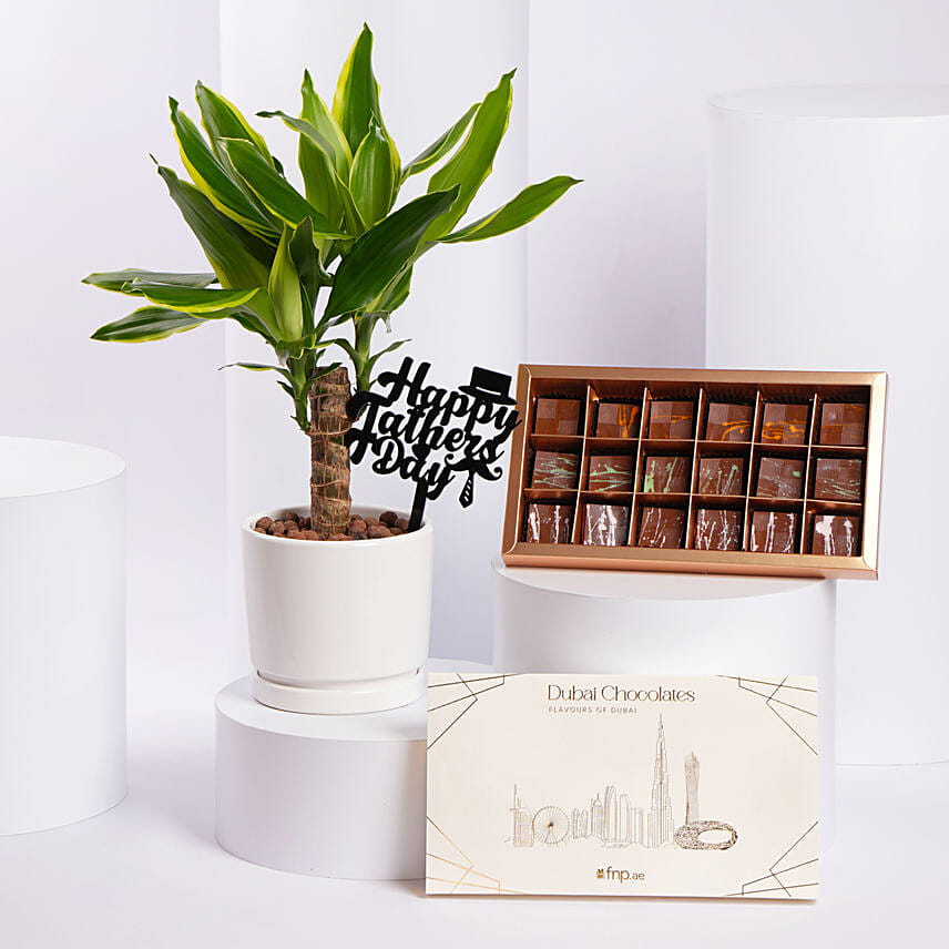 Delight Plant N Chocolate Gift Set Father Day Edition