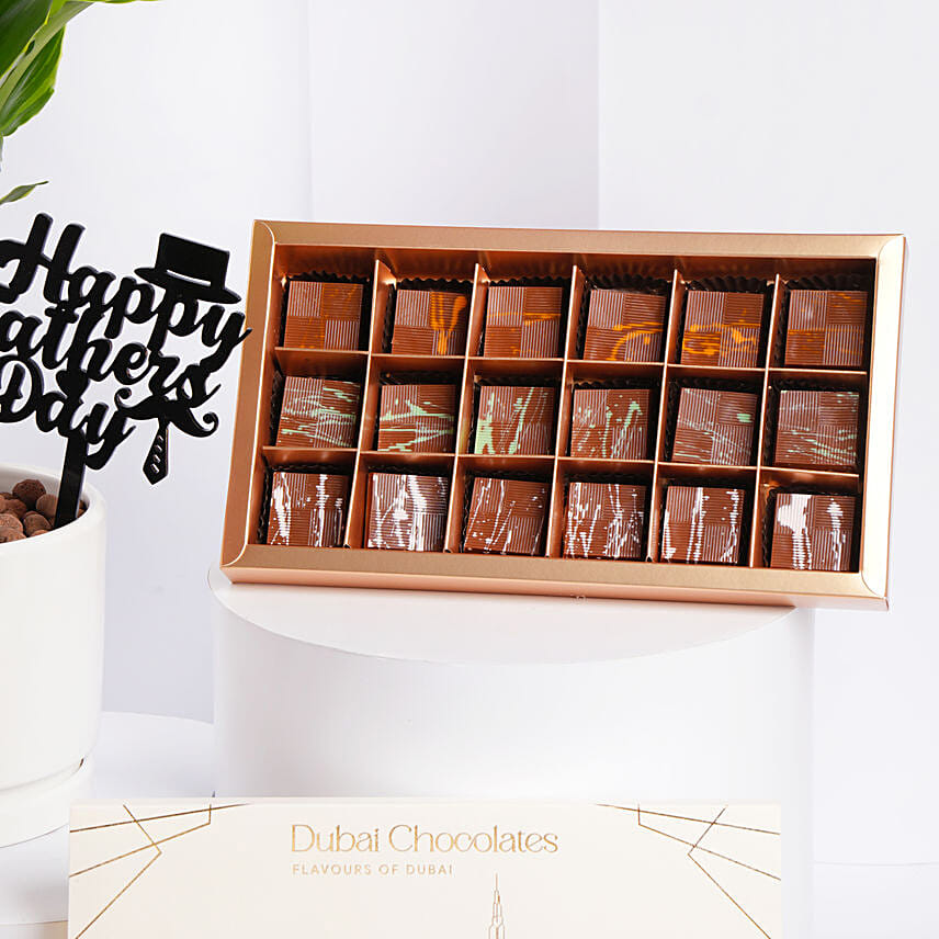 Delight Plant N Chocolate Gift Set Father Day Edition