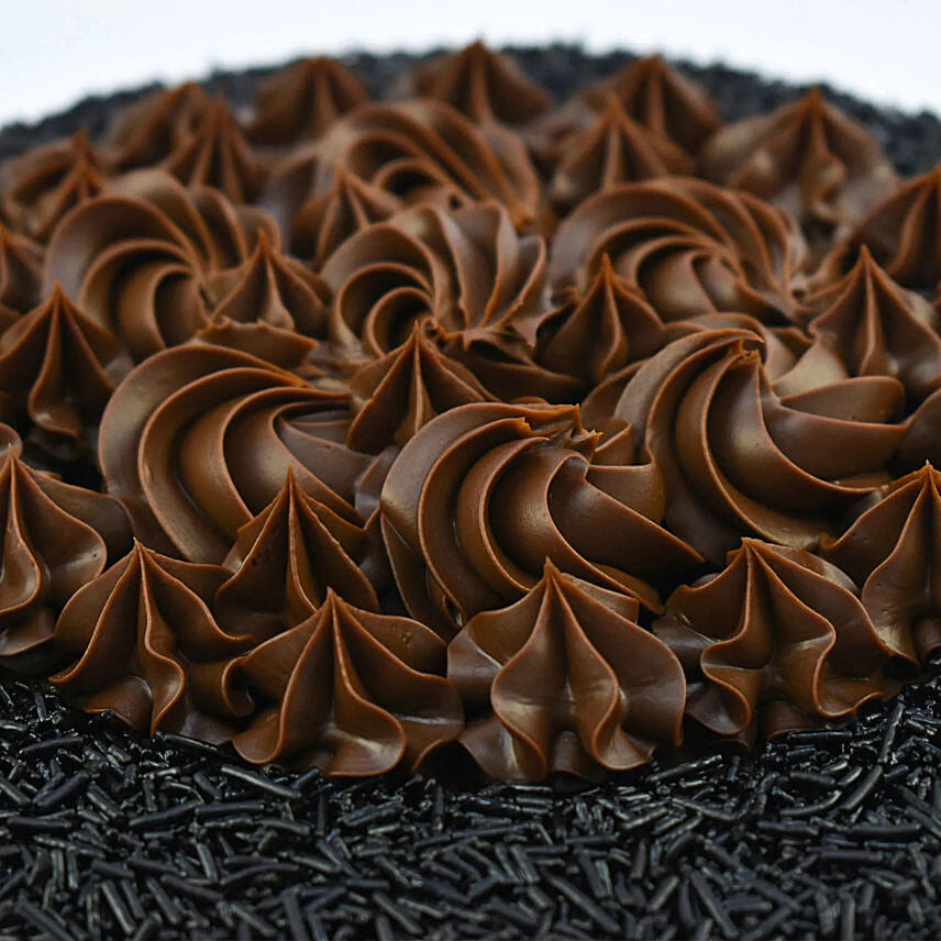 Divine Chocolate Delight Cake 8 Portion