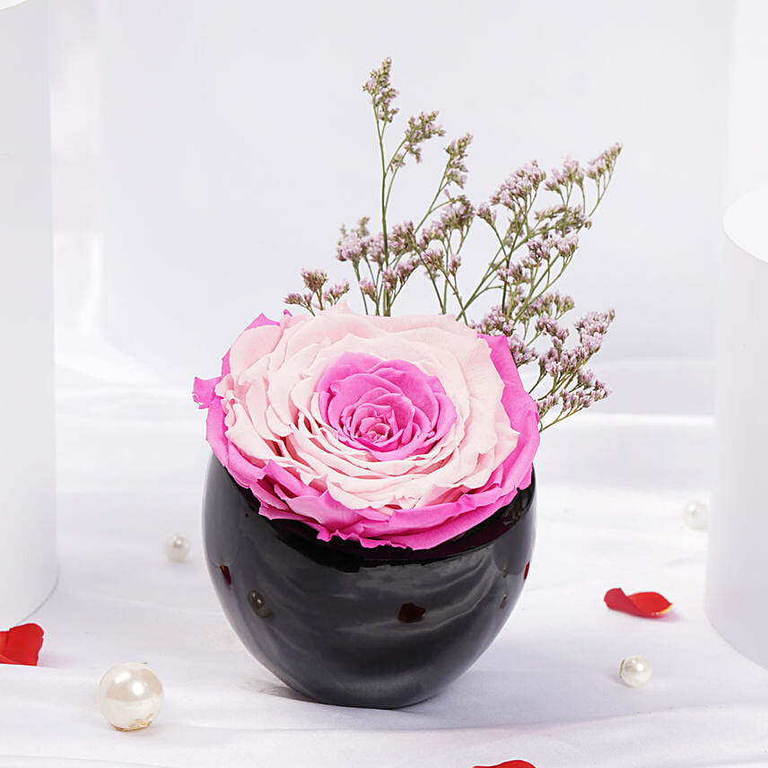 Dual Beauty Large Preserved Rose in Premium Base