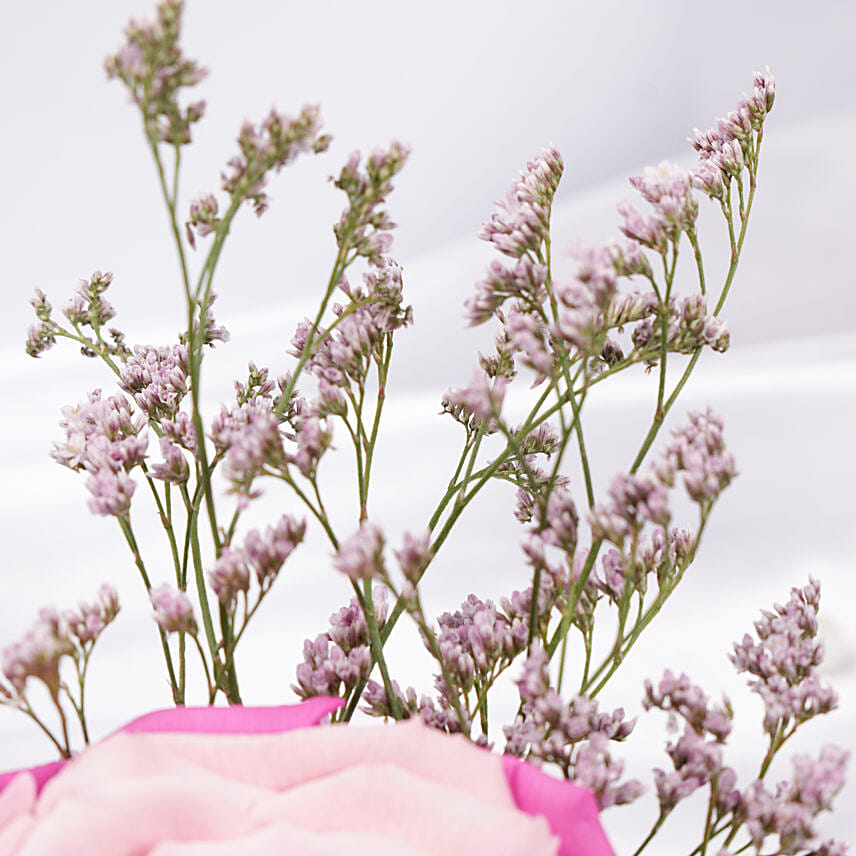 Dual Beauty Large Preserved Rose in Premium Base