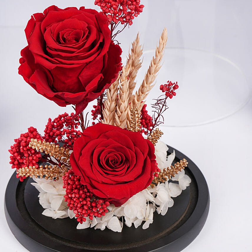 Dual Red Forever Roses in Dome