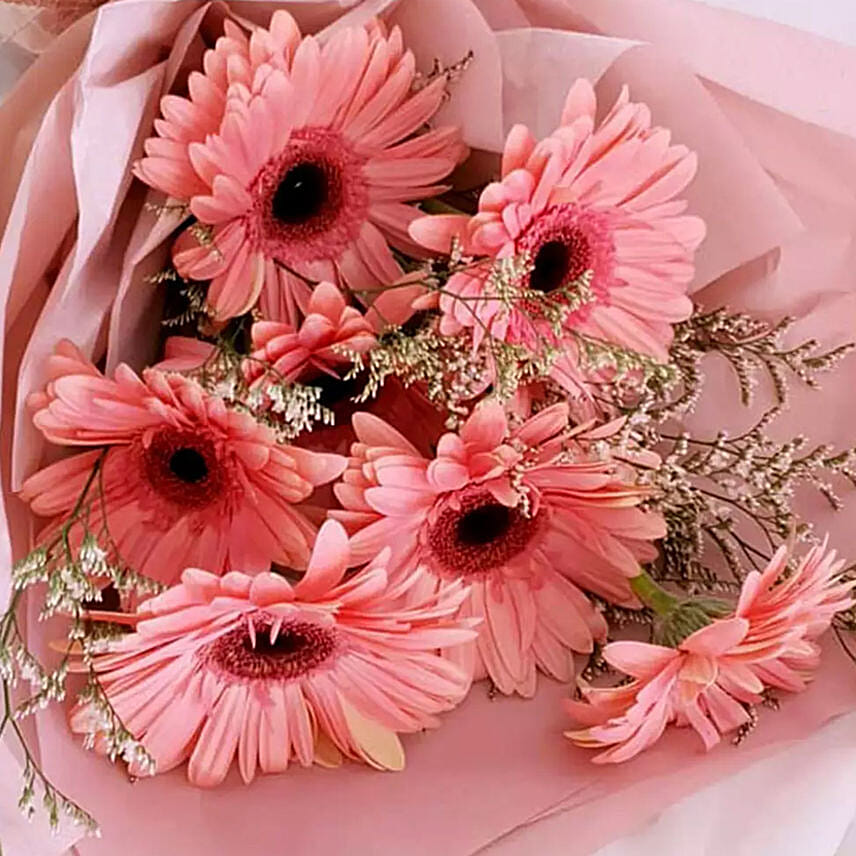 Elegant Pink Gerberas Beautifully Tied Bouquet Premium