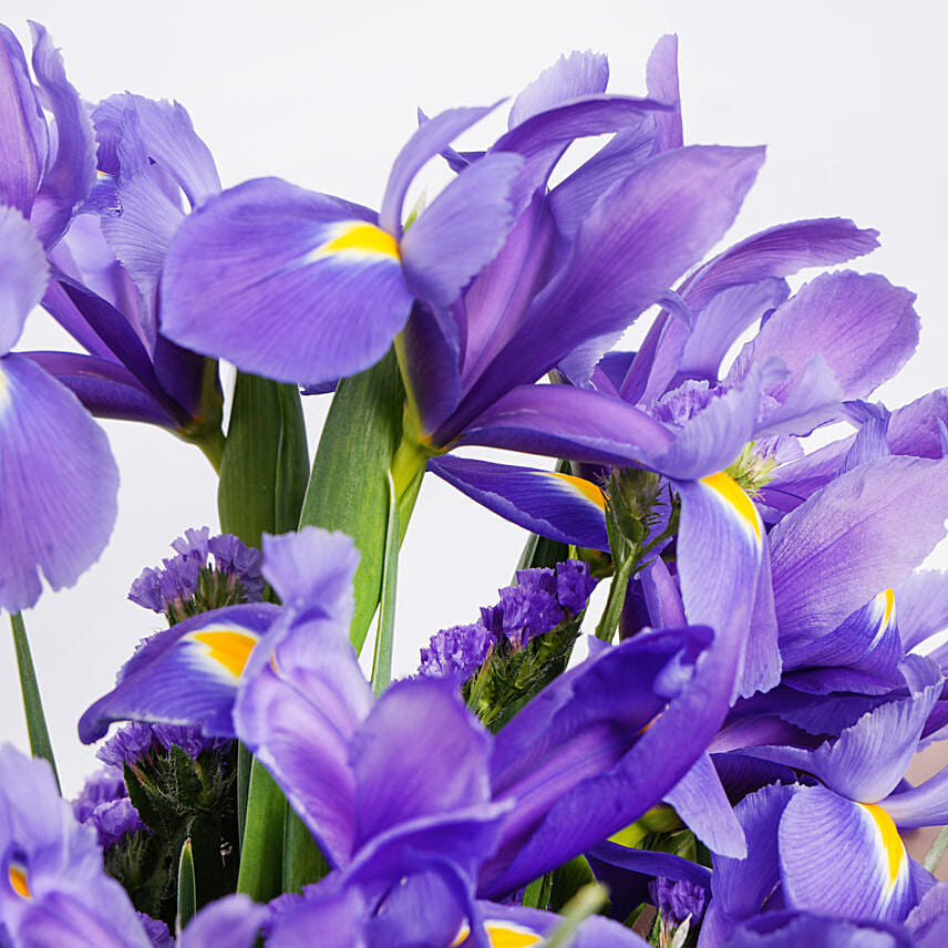 February Birthday Iris Flowers Bouquet