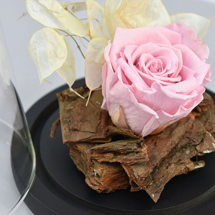 Forever Rose Combo For Mom
