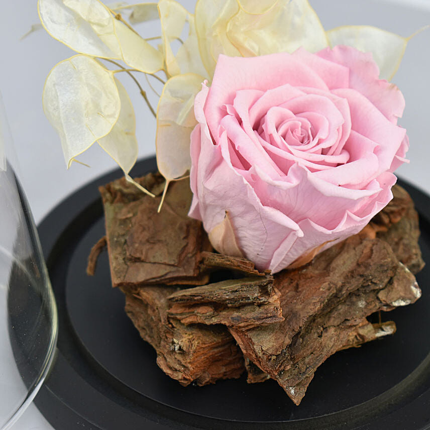 Forever Rose with Chocolates For Mom
