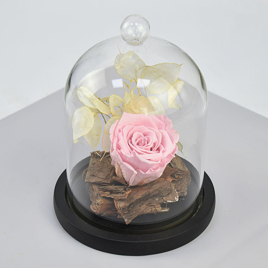 Forever Rose with Chocolates For Mom