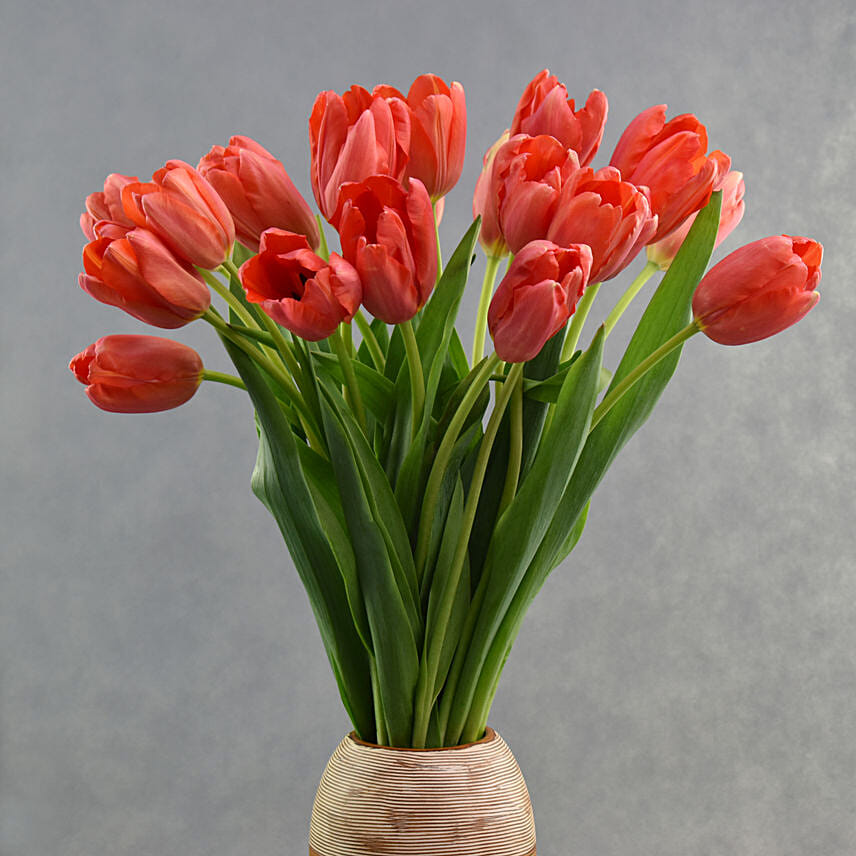 French Tulip in Premium Vase