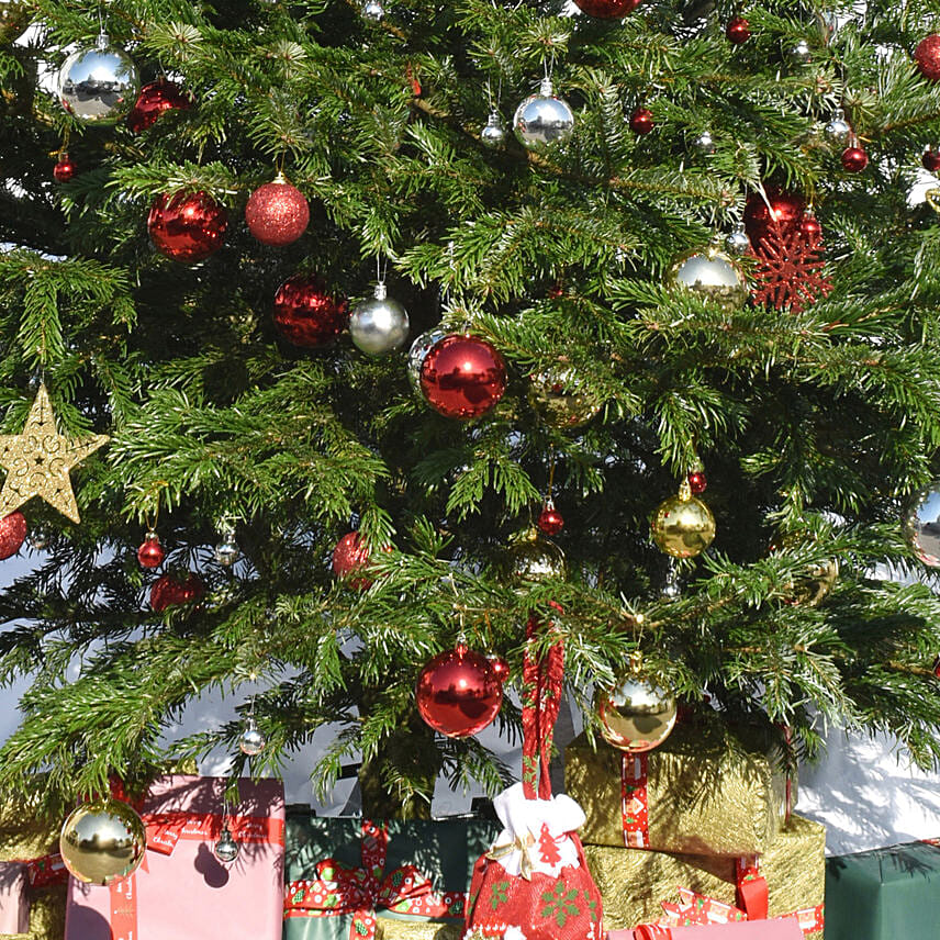 Fresh and Real Xmas Tree with Decoration