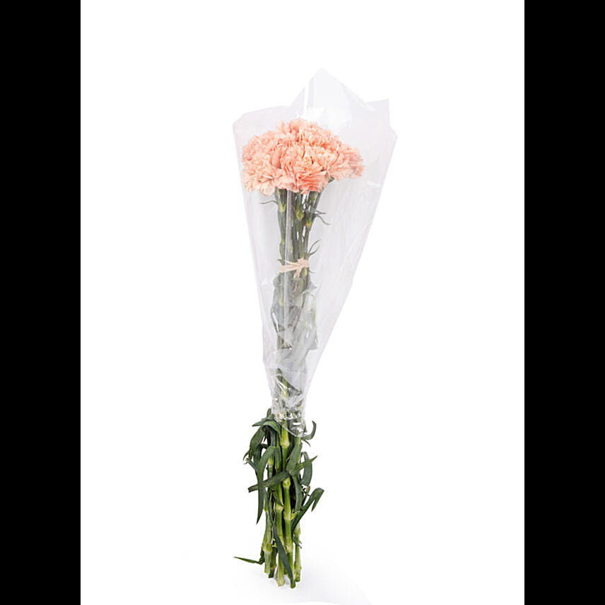 Fresh Bunch of Peach Carnations 10 Carnations