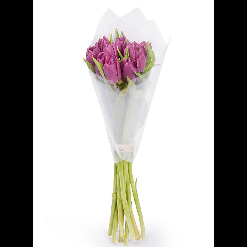 Fresh Bunch of Purple Tulips 10 Tulips