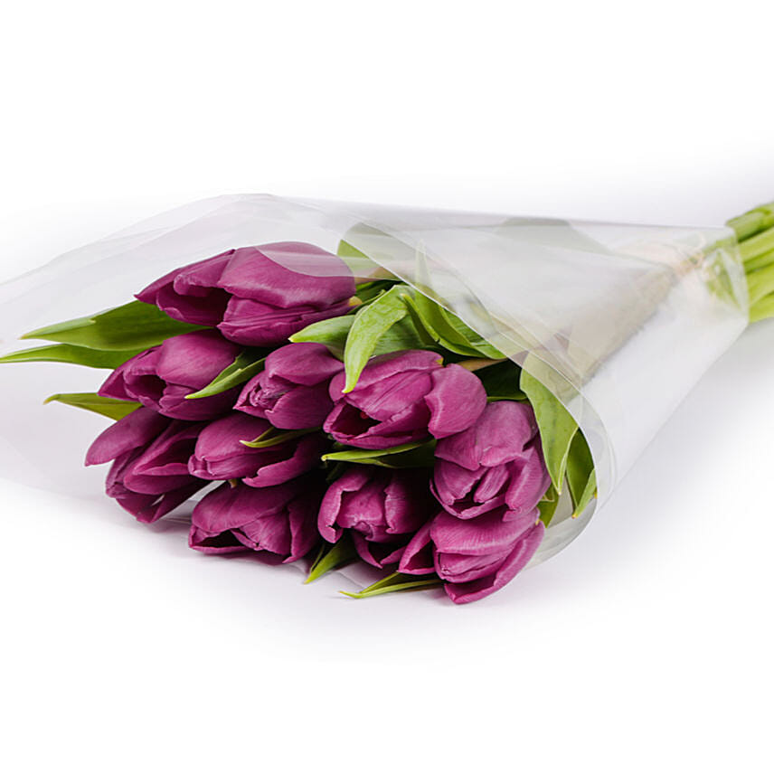 Fresh Bunch of Purple Tulips 10 Tulips