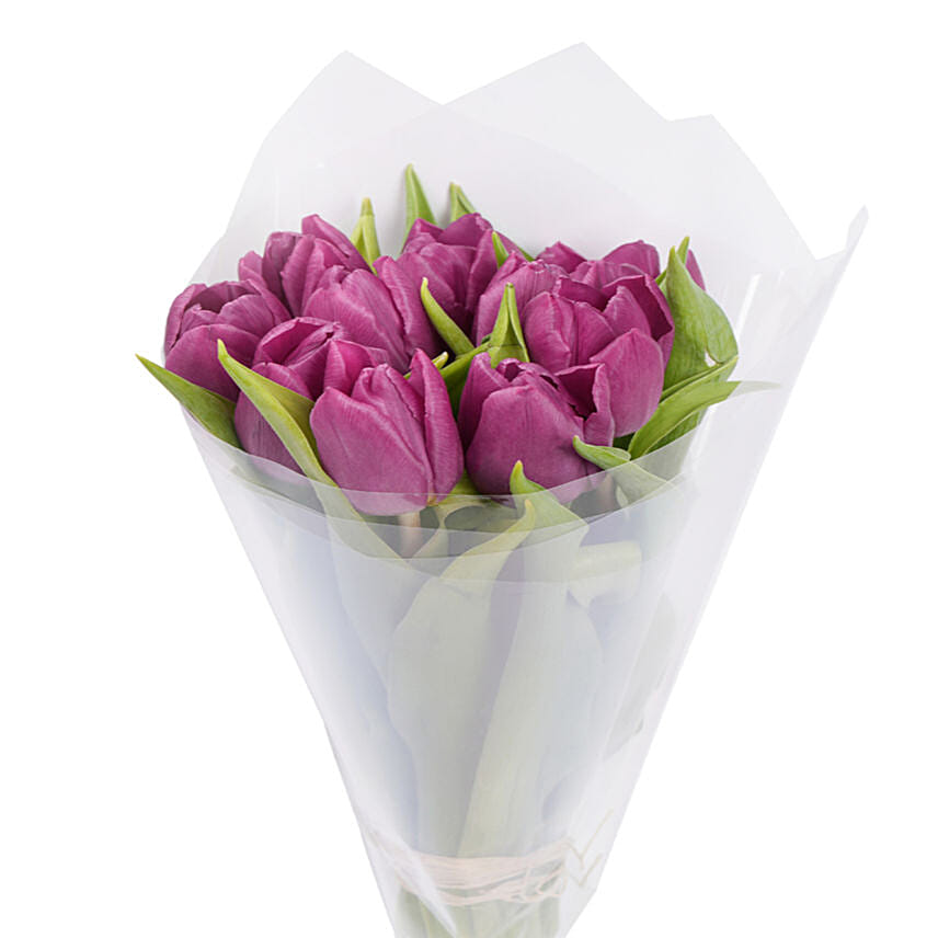 Fresh Bunch of Purple Tulips 10 Tulips