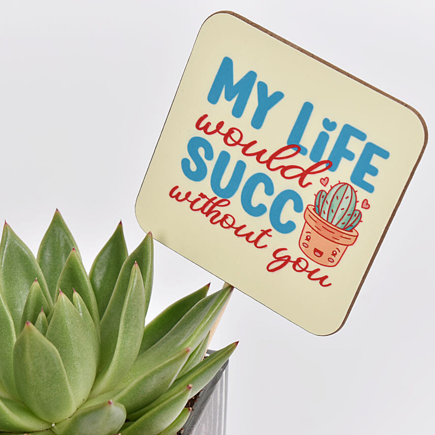 Friends For Life Plant Combo