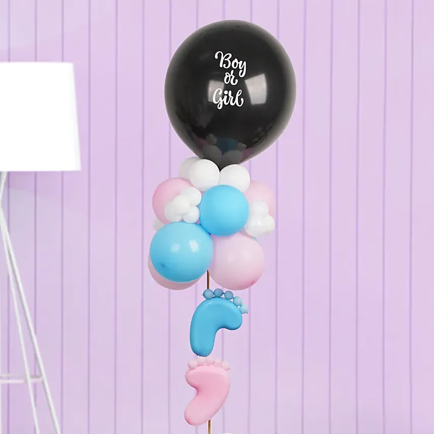 Gender Reveal Party Balloon Set