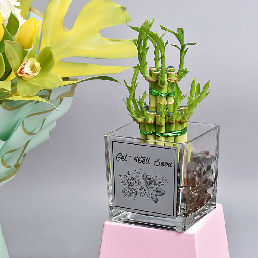 Get Well Soon Flowers With Plant