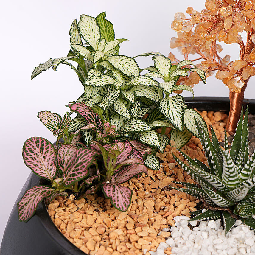 Golden Harmony Succulent Planter