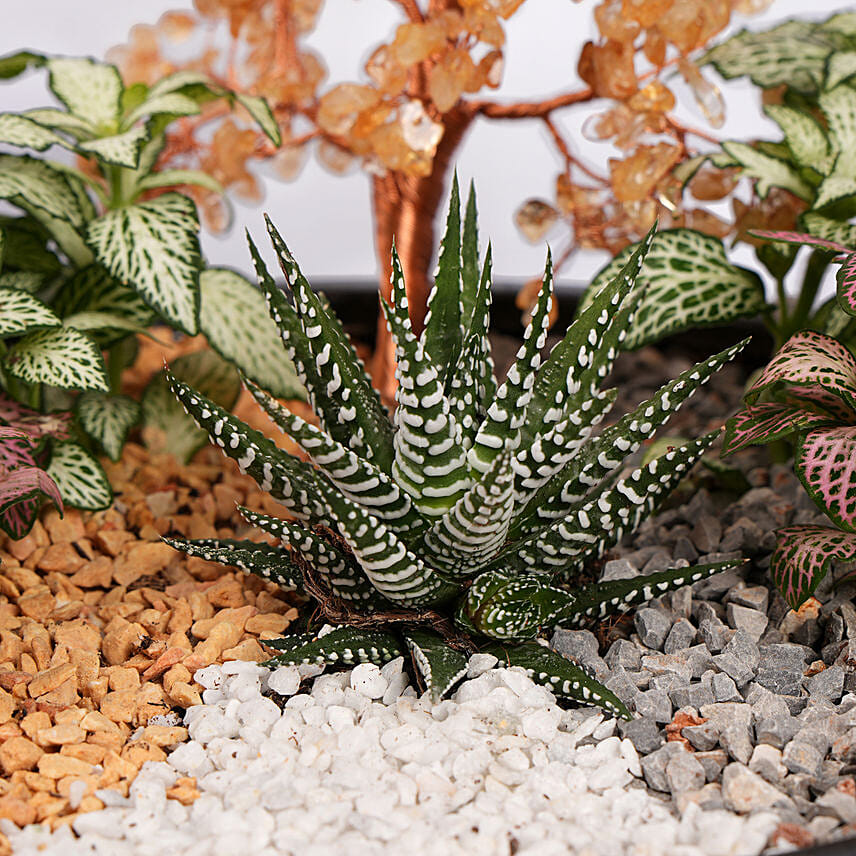 Golden Harmony Succulent Planter