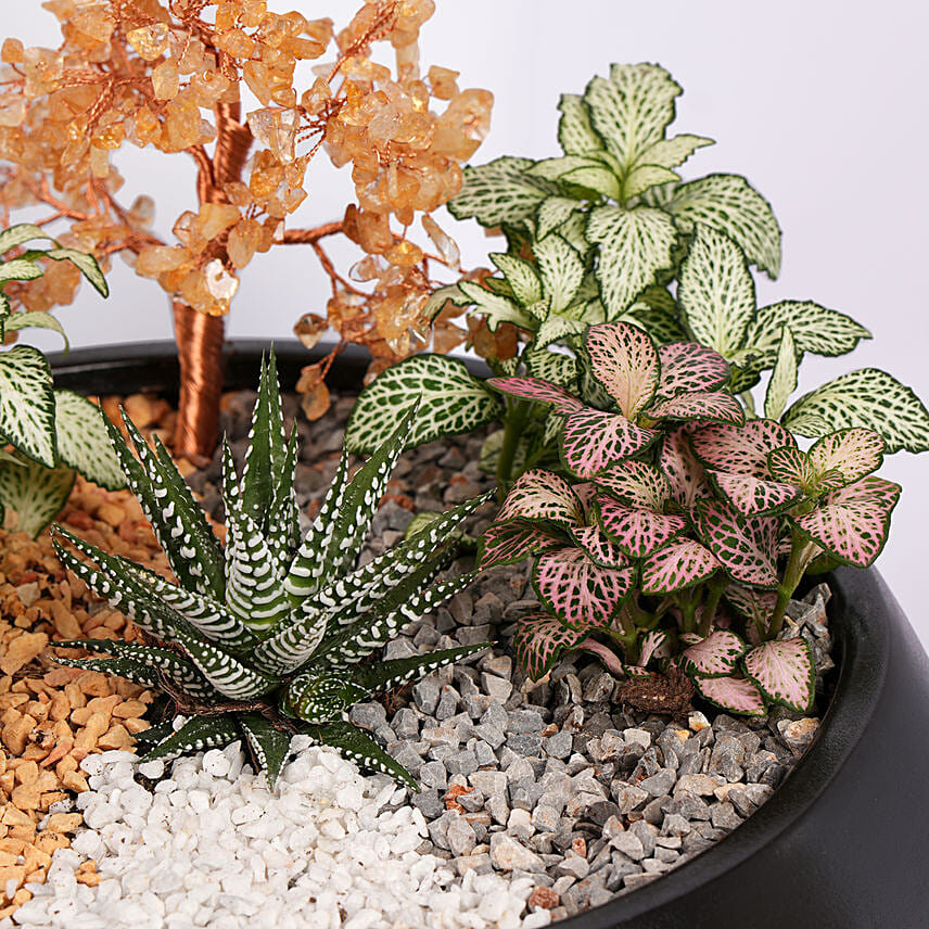 Golden Harmony Succulent Planter