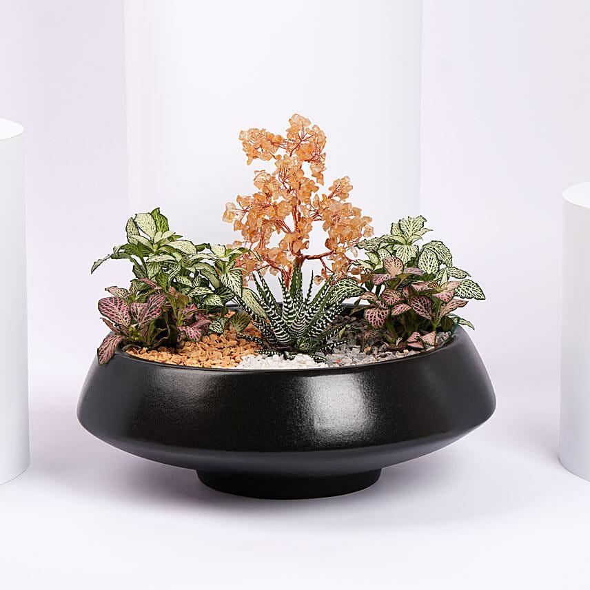Golden Harmony Succulent Planter