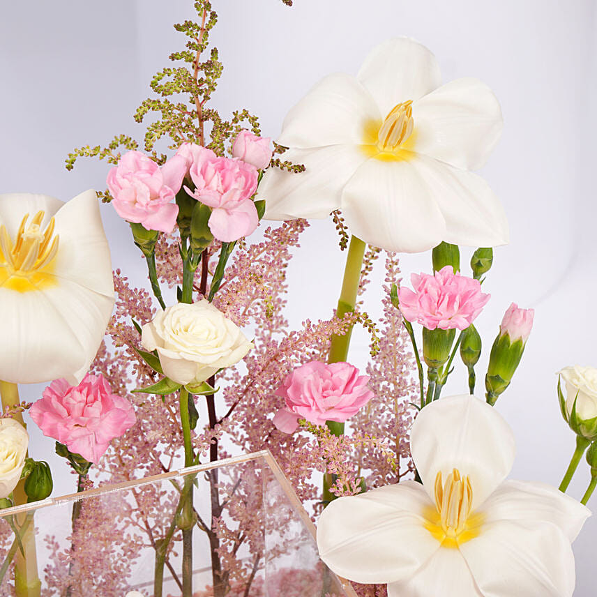 Hues of Pink combo