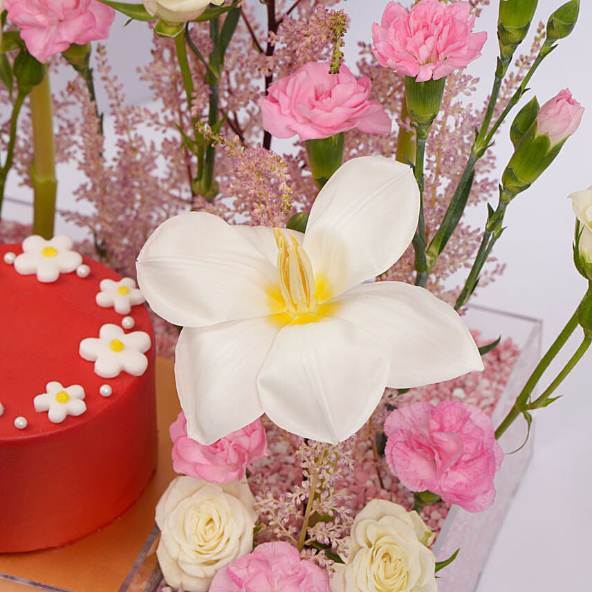 Hues of Pink combo
