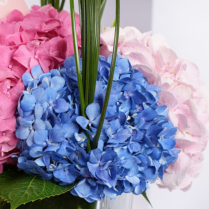 Hydrangeas Arrangement For Daughter