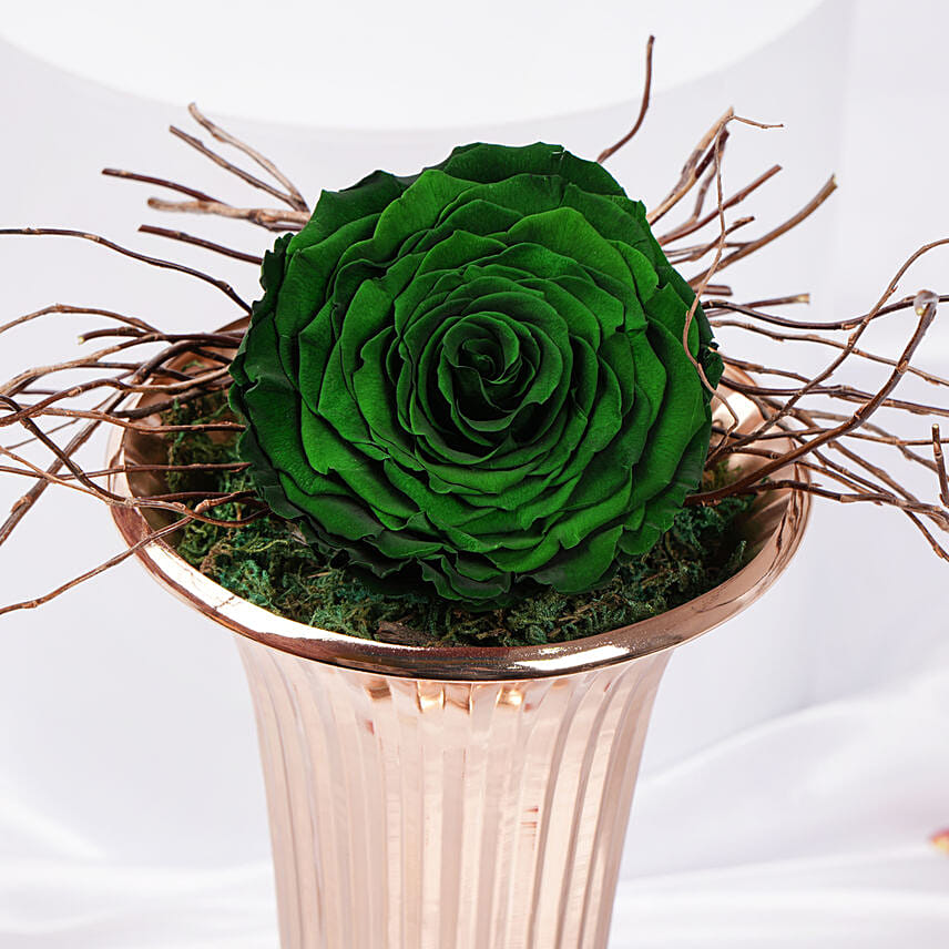 Large Green Forever Rose in Designer Base