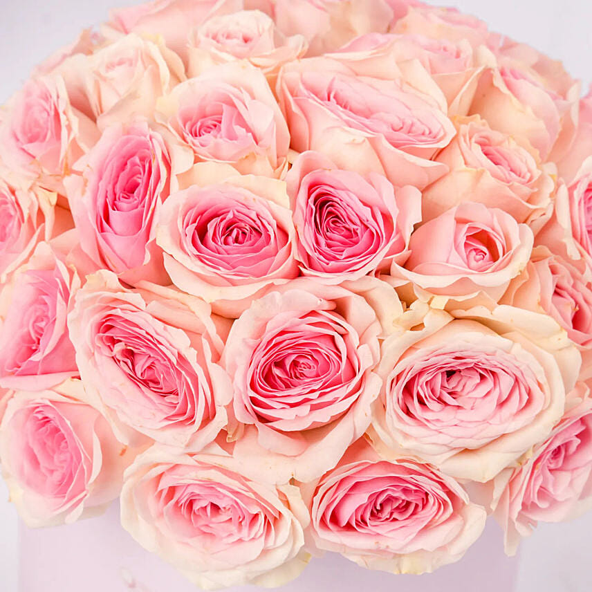 Luxury Blush Roses