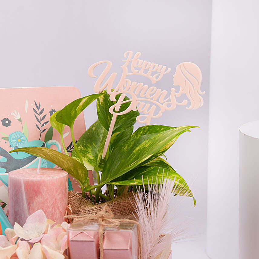 Elegant Gift Hamper