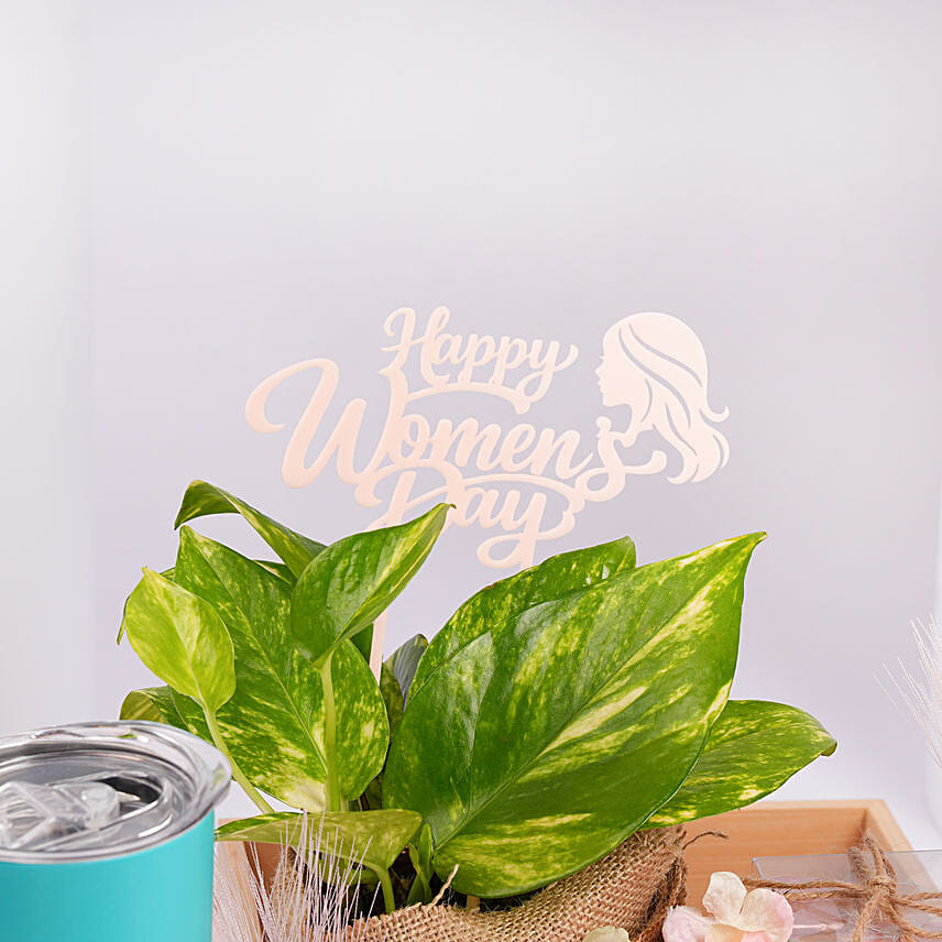 Elegant Gift Hamper