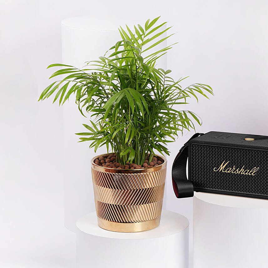 MIDDLETON II BLACK AND BRASS