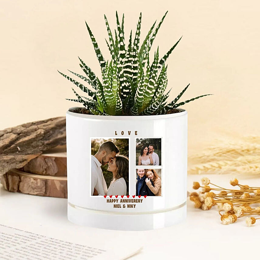 Moments Of Love Echeveria Plant