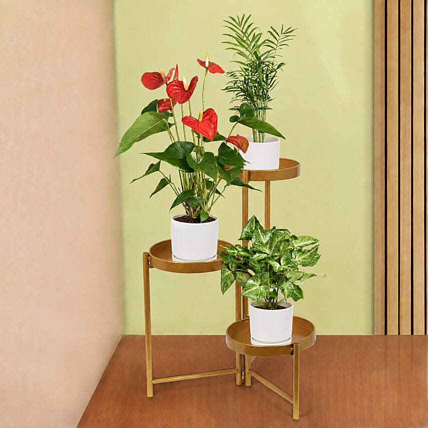 Natures Elegance Plant Stand