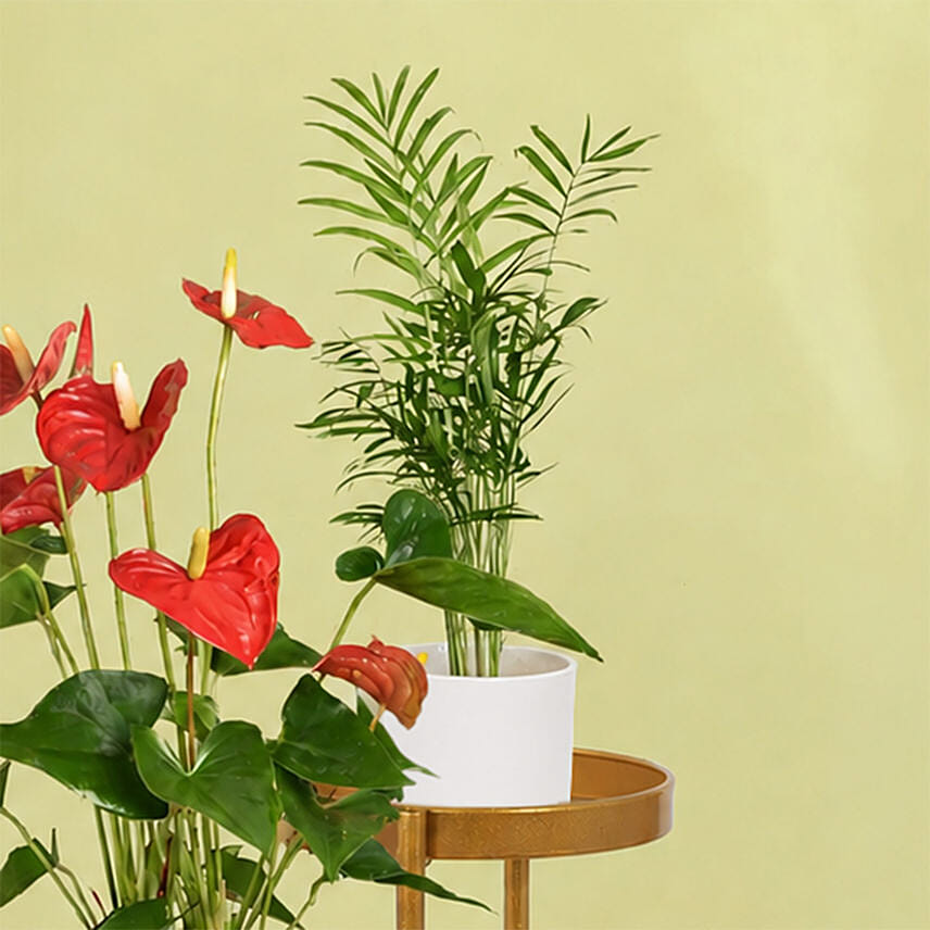 Natures Elegance Plant Stand