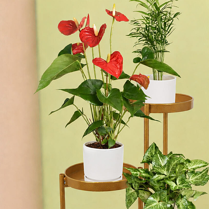 Natures Elegance Plant Stand