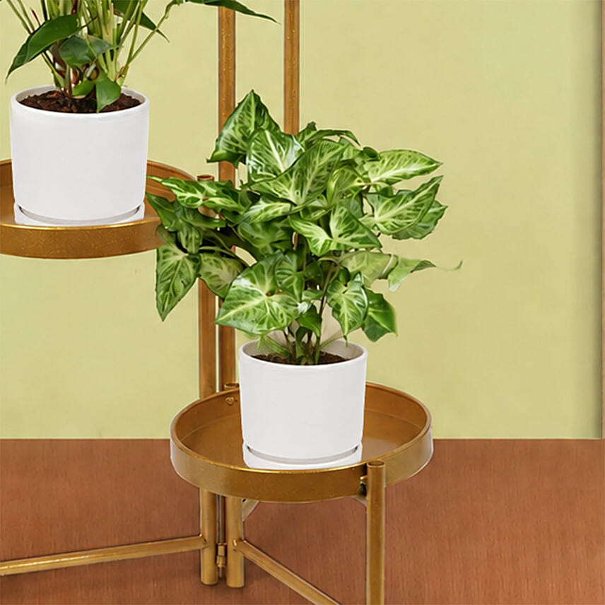 Natures Elegance Plant Stand