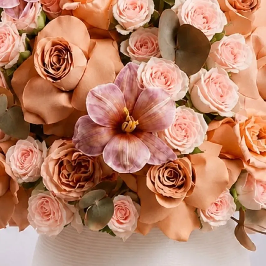 Rosa Noor Crown Collection